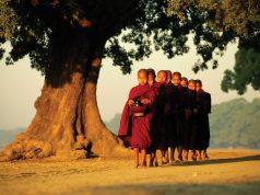 Chánh niệm – Nghệ thuật sống tỉnh thức