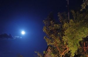 Tất cả đều có sẵn trong tâm thức chúng ta